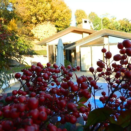 Giardino Delle Camelie Frühstückspension