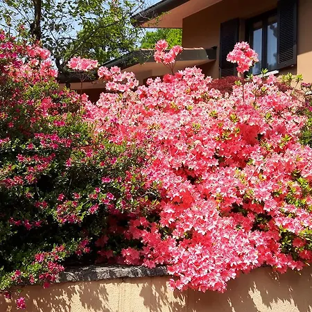Giardino Delle Camelie Frühstückspension
